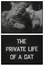 The Private Life of a Cat (Short 1946)