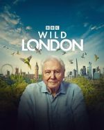 Wild London (TV Special 2026)