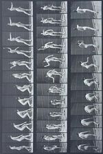 Woman Throwing Baseball