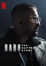 Babo: The Haftbefehl Story