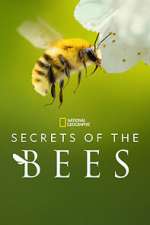 S1 E1 Secrets of the Bees Season 1 Episode 1