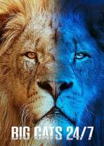 S2 E1 Big Cats 24/7 Season 2 Episode 1