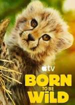 S1 E1 Born to Be Wild Season 1 Episode 1