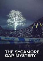 The Sycamore Gap Tree Mystery